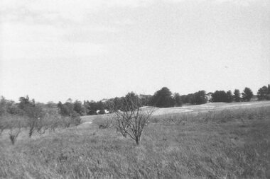 Photograph, Looking across remains of Frazer's orchard to state school, 1972
