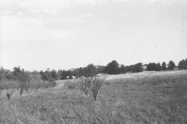 Photograph, View looking across remains of Frazer's orchard in Oban Road towards North Ringwood State School, 1972