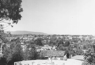 Photograph, Loughnan Road 1960