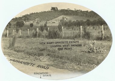 Photograph, Promotional photograph - View opposite Ringwood Estate,  Warrandyte Road, looking west towards Pine Mont. (no date)