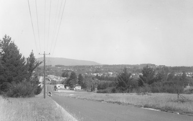 Photograph, Panfield Estate, previously Vic Hunter's orchard. c1963
