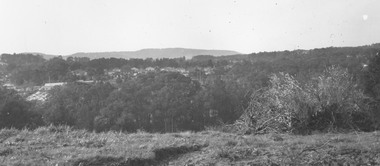 Photograph, Site of William's Orchard, Mullum Rd. 1964