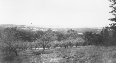 Photograph, Overlooking Heathmont from Pump's orchard - 1926