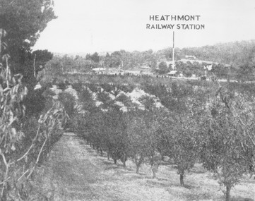 Photograph, View of what was Heathmont township taken from about Royal Avenue looking at Mr. Herman Pump's orchard.  Old bridge over Canterbury Road can be seen on left