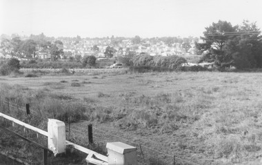 Photograph, View from railway line at Madden Street Ringwood, looking towards New St.  Flower farm dam centre - to left. 1960