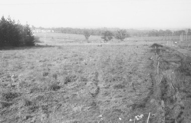 Photograph, View looking south from railway line near Madden Street (on right). 1960