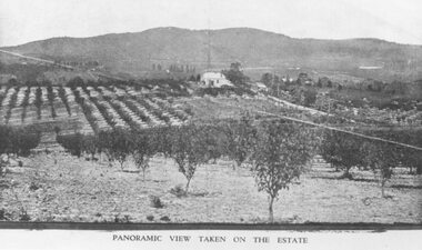 Photograph, Panoramic view of Heathmont Station Estate. c1925