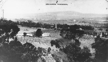 Photograph, View of Ringwood from Loughnans Hill.  Pollards tank stand (centre) is on south side of Warrandyte Road. (Later location of Lauriston Crt.)