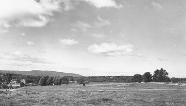 Photograph, John Vergers orchard Mullum Rd.  Subdivided 1965