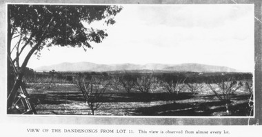 Photograph, Mullers orchard, Heathmont.  Looking east from cnr. Canterbury and Dickasons Rds. "Charm View Estate"  - 1926
