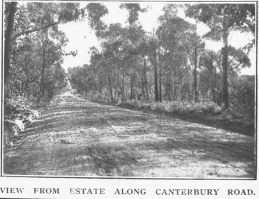 Photograph, Coleman's Heathmont Estate Sale, 15/12/1923.  Looking west along Canterbury Road Heathmont.  Railway bridge is situated at foot of hill