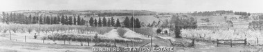Photograph, Dublin Rd. Station Estate. c1923