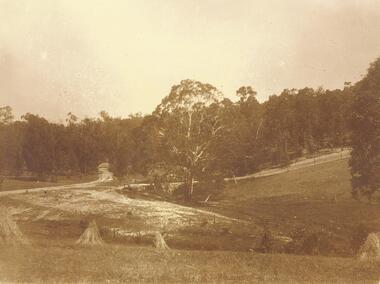 Photograph, Two photos at 'Quambee', Wonga Road - 1915, including Coomb's paddock harvest