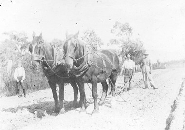 Photograph, Andy Addison, youth.  Sam Kennedy, plow.  Ploughing near what is now the corner of Ringwood St. & Reynolds Ave. Ringwood - 1906.  Horses Jack (left) and Nugget
