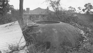 Photograph, Old well at the corner of Warrandyte Road and Oban Road (N.E. corner) - 1964