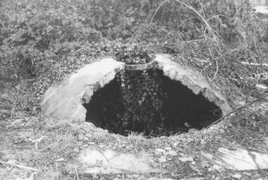 Photograph, Old well in Adelaide Street, July 1972