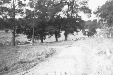 Photograph, Three photos showing different views at Quamby, North Ringwood. June 1978