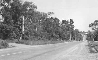 Photograph, Warrandyte Rd. Ringwood, near Notlen St. looking south, 1963