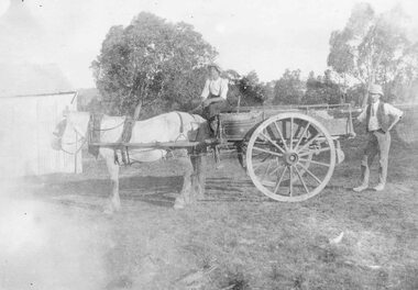 Photograph, A.T. Miles at 'Quambee', North Ringwood, with Arnold Stowell and "old Tom". 1913