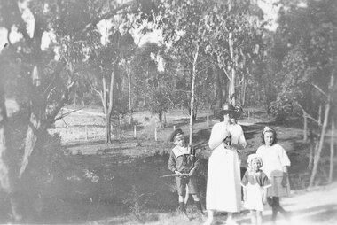 Photograph, Arnson's bush paddock at 'Quambee', North Ringwood. 1922