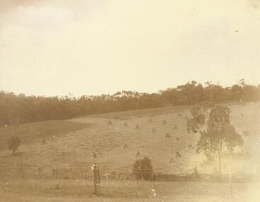 Photograph, "Quambee", Nth Ringwood, 1912