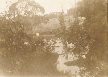 Photograph, Site of proposed lily pond at 'Quambee', North Ringwood, about 1912
