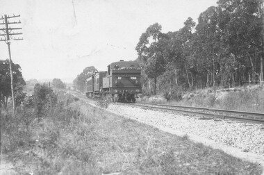 Photograph, Ringwood, steam engine D 728. (undated photograph)