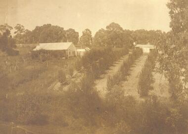 Photograph, "Quambee", North Ringwood, 1914