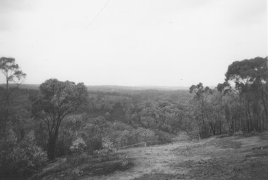 Photograph, Ringwood Rifle Range, Jumping Creek Reserve after the bushfires, 1962