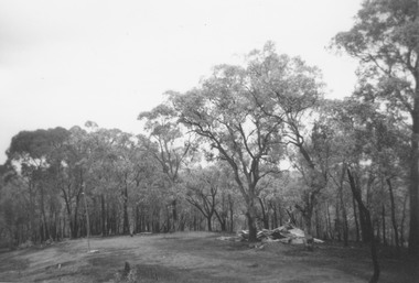 Photograph, Ringwood Rifle Range, Jumping Creek Reserve. Remains of the hut at 600 yards mound after the bushfires, 1962