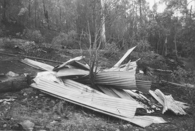 Photograph, The remains of the target shed at Ringwood Rifle Range, Jumping Creek Reserve after the January 1962 bushfires