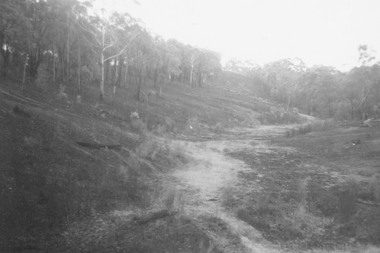 Photograph, View up range from the target pit at Ringwood Rifle Range, Jumping Creek Reserve after the January 1962 bushfires