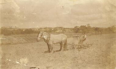 Photograph, 'Quambee', North Ringwood - 1912