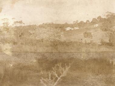 Photograph, Quambee, North Ringwood, from Coombes' property - 1912