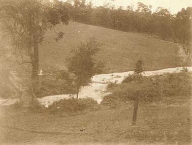 Photograph, Creek at Quambee, North Ringwood, after 50 points of rain, c.1912-13