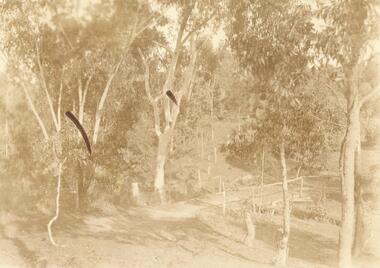 Photograph, Quambee, North Ringwood - 1912