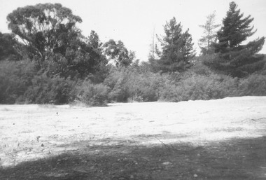 Photograph, Former antimony mine site - 1963, prior to becoming site of Maroondah Civic Centre, Braeside Avenue, Ringwood - 1963
