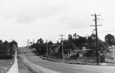 Photograph, Northward view from Mullum Road corner, Oban Road, Ringwood - 1981