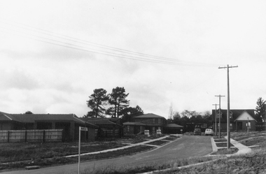 Photograph, Marcel Court, North Ringwood - 1981