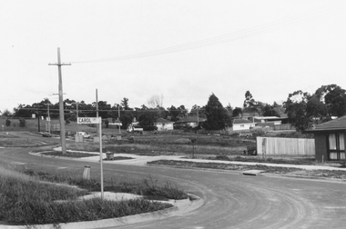 Photograph, Westward view along Jull Road from corner of Carol Court, North Ringwood - 1981