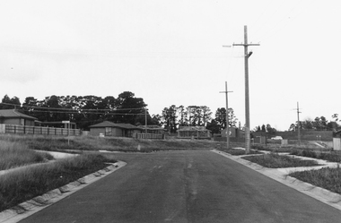 Photograph, Southward view from the end of Jull Road, North Ringwood - 1981, later extended as Jull Parade