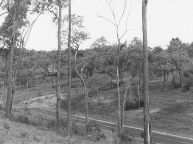 Photograph, Debbie Place looking south. North Ringwood. Probably 1982