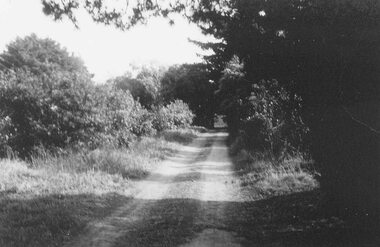 Photograph, Entrance to Godbehear's orchard, Warrandyte Rd, Ringwood. (Undated)