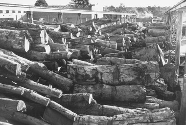 Photograph, Ringwood Timber and Trading, Maroondah Highway.  (undated, probably late 1960's early 1970's)