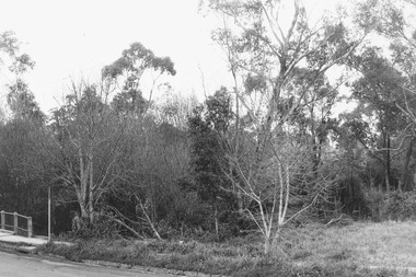 Photograph, Mullum Creek west of Ringwood Street, Ringwood 1974
