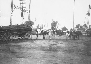 Photograph, Bullock team at old railway crossing near station taken from Maroondah Highway, Ringwood. c1925