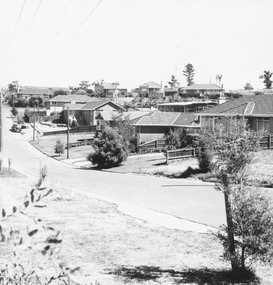Photograph, Salisbury Court, Heathmont, 1967