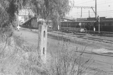 Photograph, Last stump still remaining in post and rail fence which ran along Station Street Ringwood (2 views)