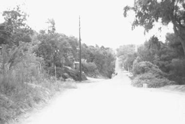 Photograph, Glenvale Road, North Ringwood - a boundary looking south. 1979