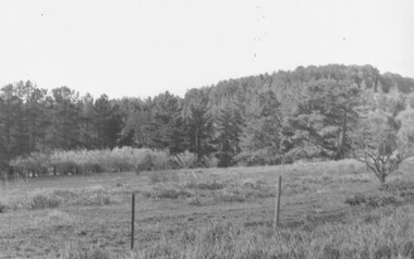 Photograph, View north from Avery Court over valley of the golf course. North Ringwood 1981